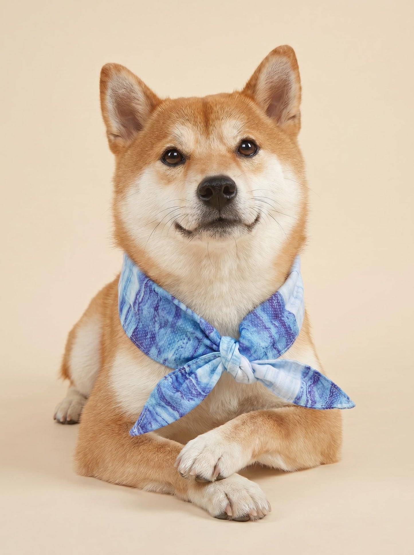 Instant Cooling Pet Collar – Summer Ice Gel Bib for Dogs