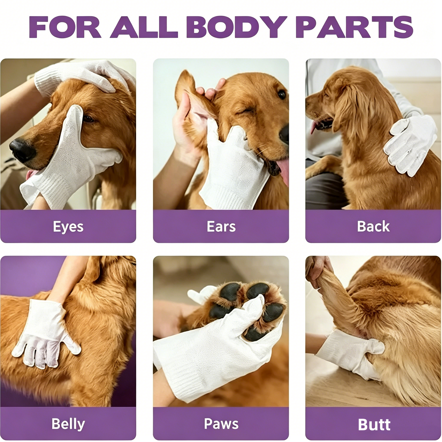 No-Rinse Odor-Neutralizing Pet Cleaning Gloves