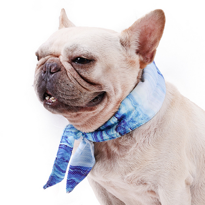Instant Cooling Pet Collar – Summer Ice Gel Bib for Dogs